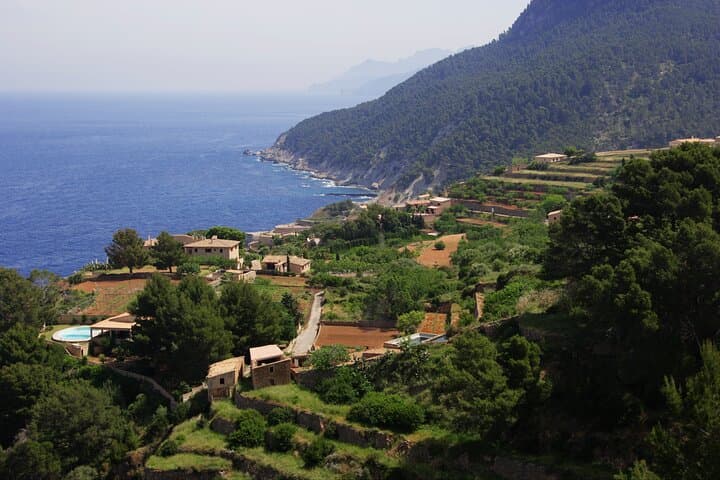 Excursion d'une journée à Palma de Majorque, à la plage d'EsTrenc et aux villages de Santanyí image 6