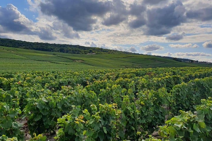 Excursion privée d'une journée de Paris à Reims et en Champagne