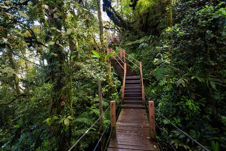 Excursión privada a Cameron Highlands Tea Country desde Kuala Lumpur imagen 5