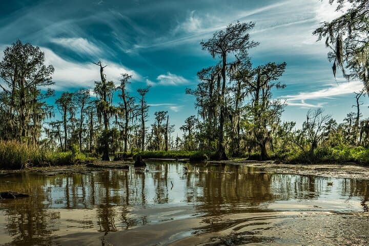Private Day Trip from New Orleans to the Bayou and Wetlands
