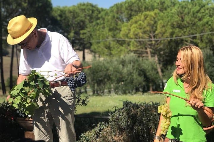 Val d'Orcia depuis Sienne avec déjeuner et dégustations