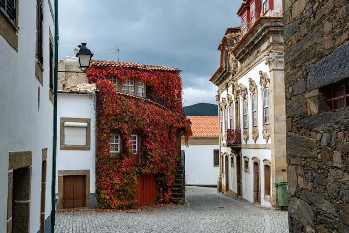 Excursión privada de un día al valle del Duero desde Oporto imagen 4