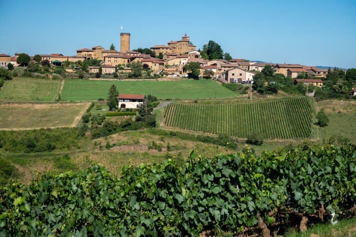 Visite privée des vins à Lyon Excursion d'une journée aux pierres dorées du Beaujolais image 2