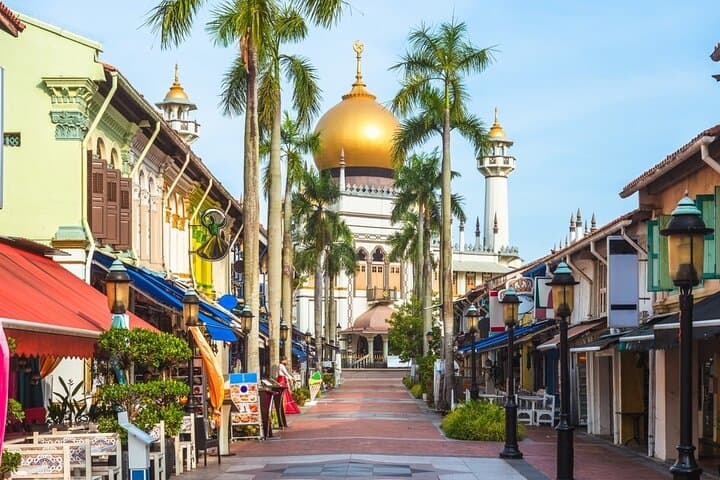 Tour privado de medio día por la ciudad de Singapur desde Airbnb Stanza Mare Beachfront foto 3