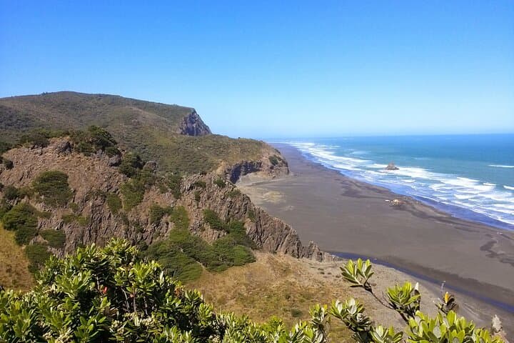 Visite des plages et de la forêt tropicale de la côte ouest d'Auckland image 5