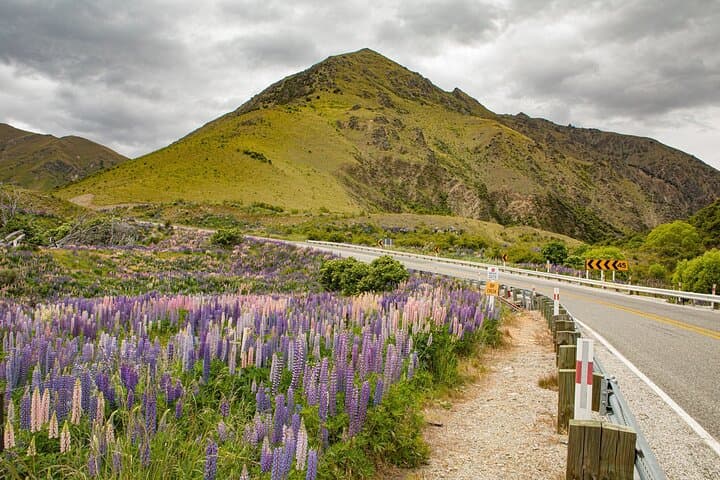 Visite privée au lac Tekapo image 2