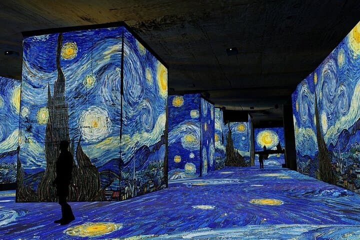 Tour privado desde Marsella: Les Baux, Van Gogh y Saint-Rémy desde Airbnb Playa Turquesa Ocean Club foto 2