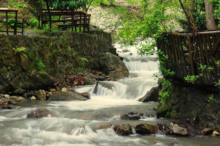 Excursion privée d'une journée d'Istanbul au lac Sapanca et au village de Maşukiye image 4