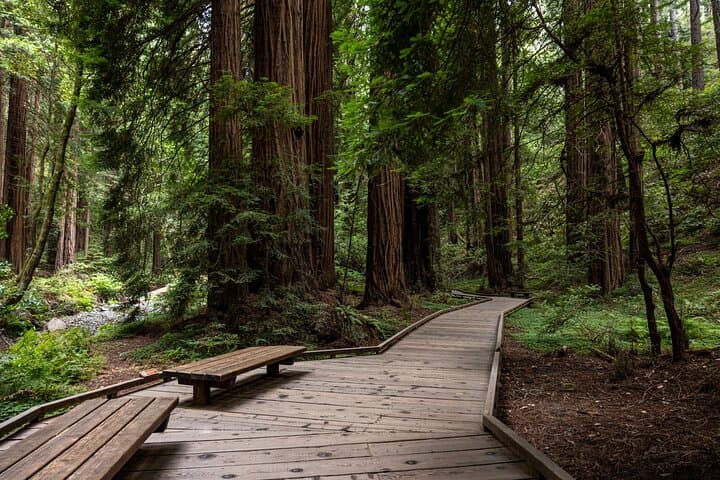 Tour privado de día completo al Parque Nacional Yosemite desde San Francisco imagen 4
