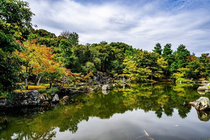 Osaka and Kyoto Fushimi Inari and Golden Pavilion Day Trip image 4