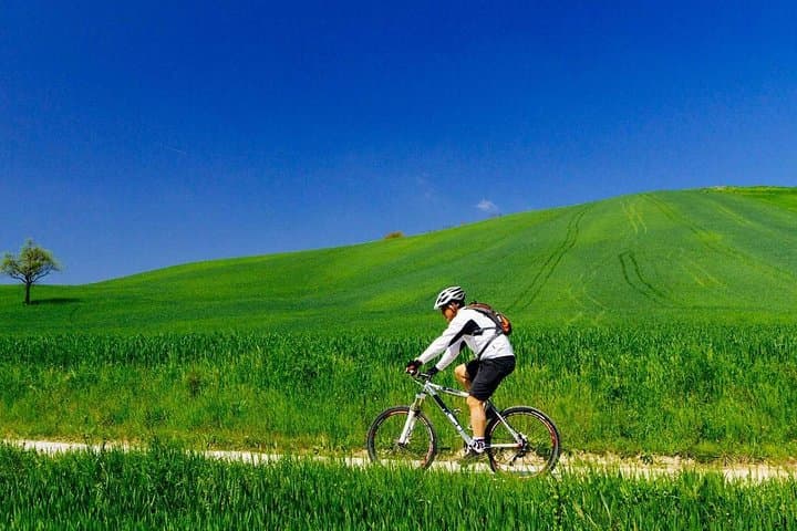 Chianti Bike Tour from Florence image 4