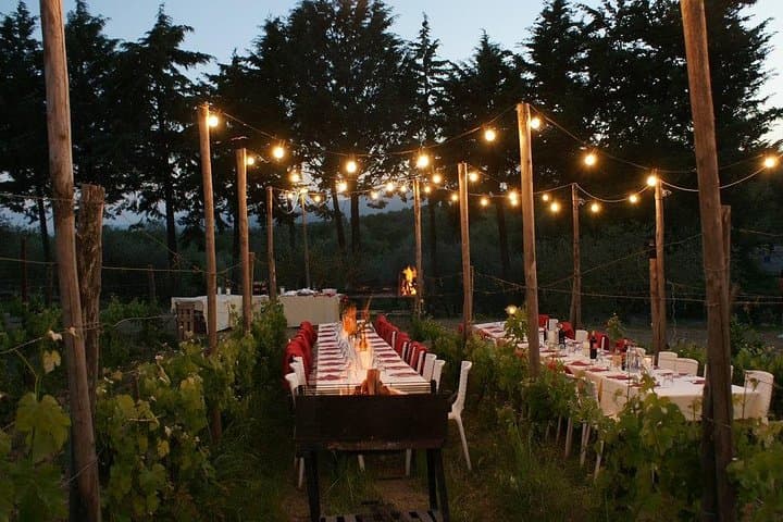 Dinner in the Vineyards from Florence image 2