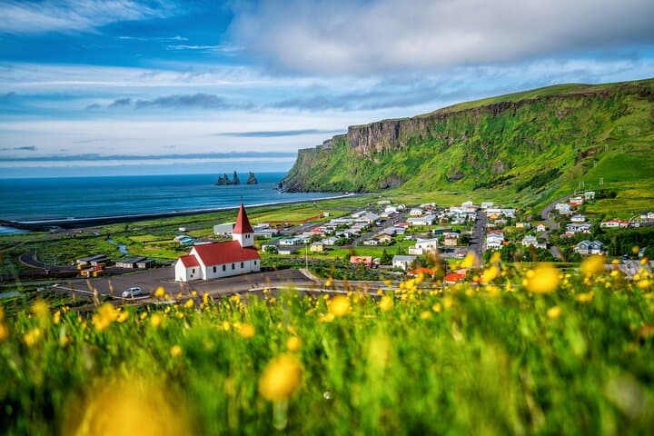 Excursión de un día desde Reikiavik a la costa sur de Islandia imagen 6