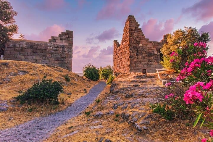 Private Bodrum City Tour, Castle, Old Town and Coastal Views image 3