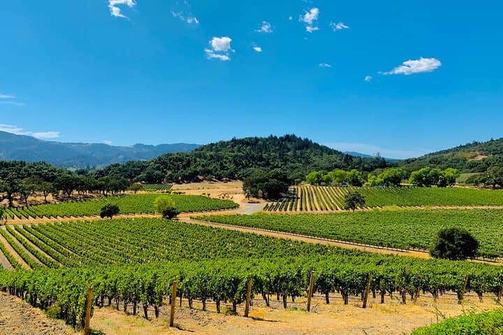 Passeio privado de vino de día completo por Napa y Sonoma imagen 3