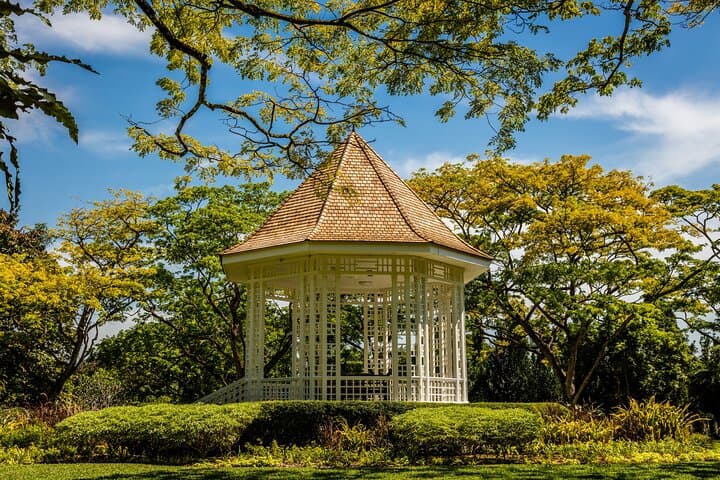 Tour privado de día completo por lo esencial de la ciudad de Singapur imagen 3