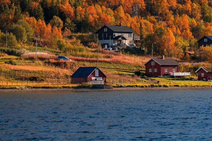 Tour panorámico privado por los fiordos de Kvaløya y Ersfjordbotn desde Tromso imagen 6
