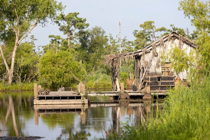 Private Day Trip from New Orleans to the Bayou and Wetlands image 4