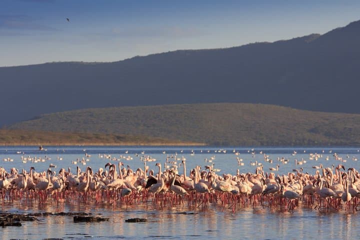 Passeio privado por la puerta del infierno del lago Naivasha en Nairobi imagen 4