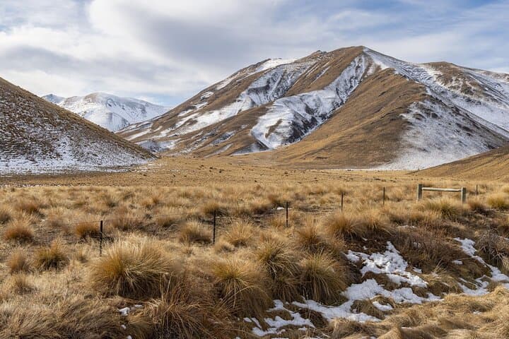 Visite privée au lac Tekapo image 3