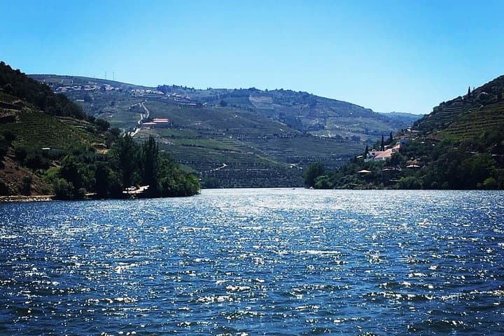 Douro Valley Small-Group Tour with Two Wineries, Lunch, and Boat Ride image 4