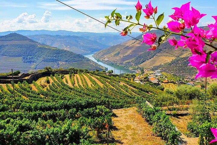 Visite en petit groupe de la vallée du Douro avec deux établissements vinicoles, déjeuner et promenade en bateau