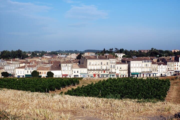 Tour privado de medio día desde Burdeos a la ciudadela de Blaye desde Airbnb Playa Turquesa Ocean Club foto 5