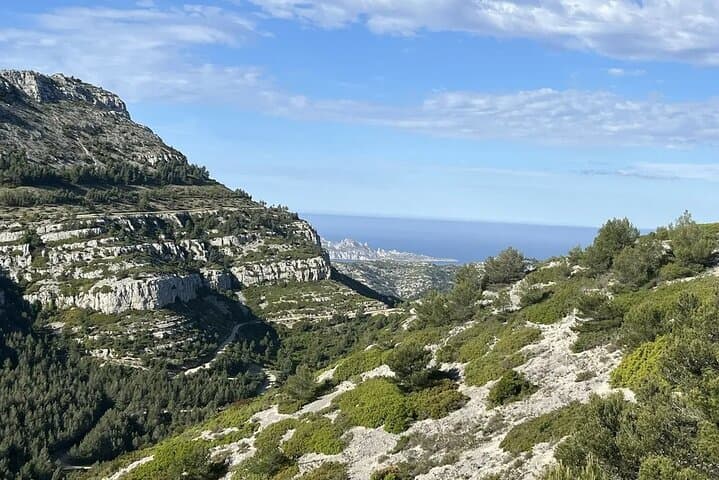 Private Cassis and Cap Canaille Coast Tour from Marseille image 6