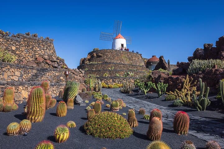Tour privado de Lanzarote: descubre las obras maestras de César Manrique imagen 2