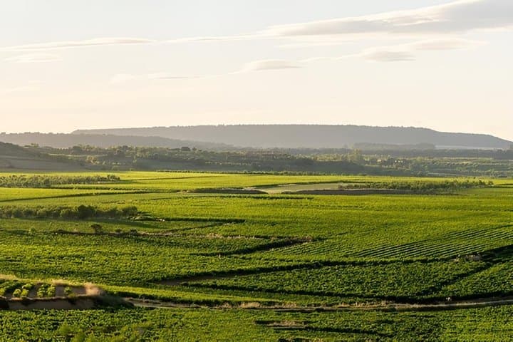 Excursión privada de un día a la región vinícola de Rioja desde Bilbao imagen 2