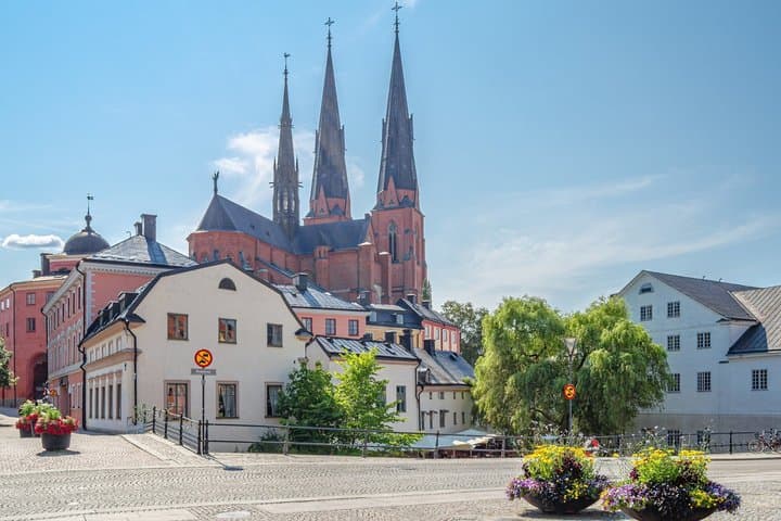 Tour privado a Uppsala y Sigtuna desde Estocolmo: vikingos e historia imagen 5
