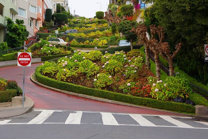 Private Half-Day San Francisco City Highlights Tour image 6