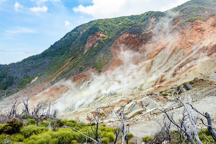 Private Hakone Day Trip from Tokyo Scenic and Mystical Experience image 2