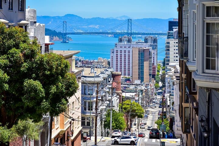 San Francisco Private Tour Muir Woods and Sausalito Day Trip image 4