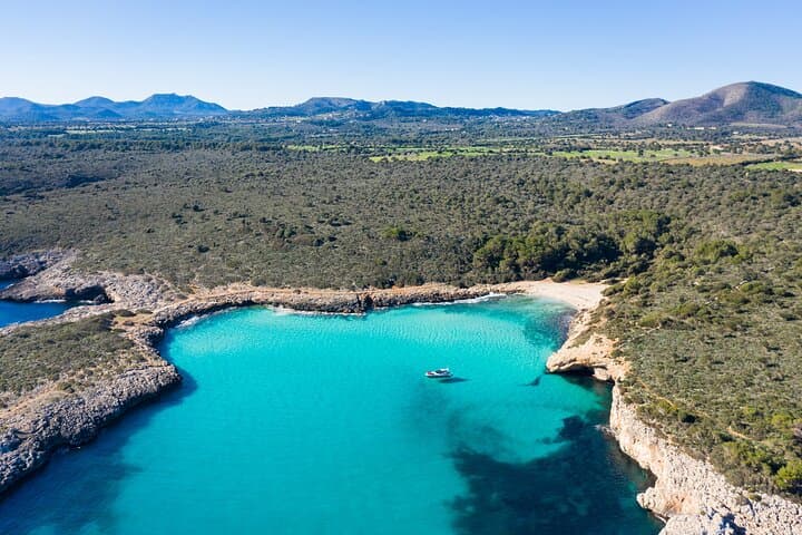 Palma de Mallorca Excursión a las Cuevas del Drach y Costa Este imagen 5