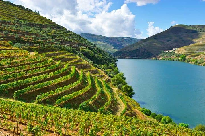 Tour privado de vino y comida por el valle del Duero desde Oporto