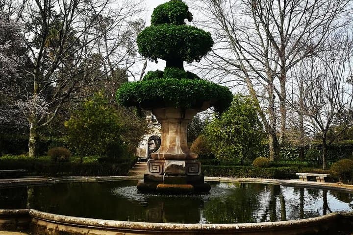 Tour privado a Aveiro, Costa Nova y Coimbra desde Oporto imagen 5