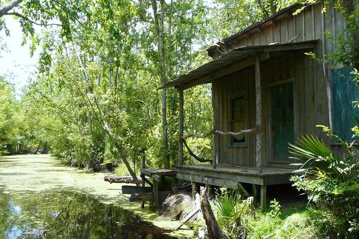 Private Day Trip from New Orleans to the Bayou and Wetlands image 5