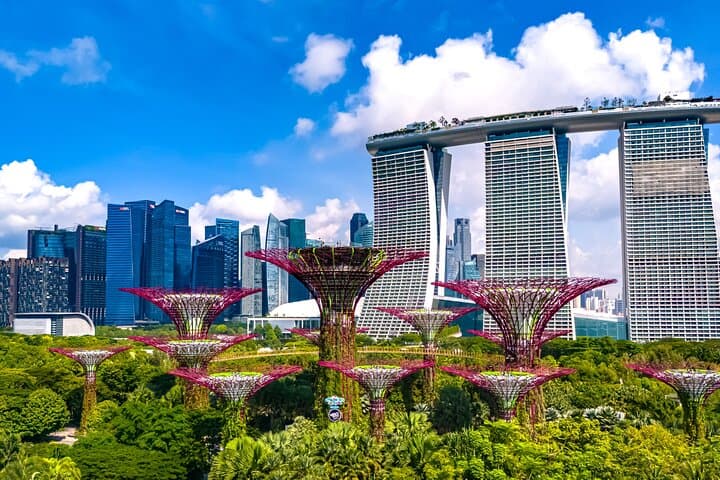 Tour privado de día completo por lo esencial de la ciudad de Singapur