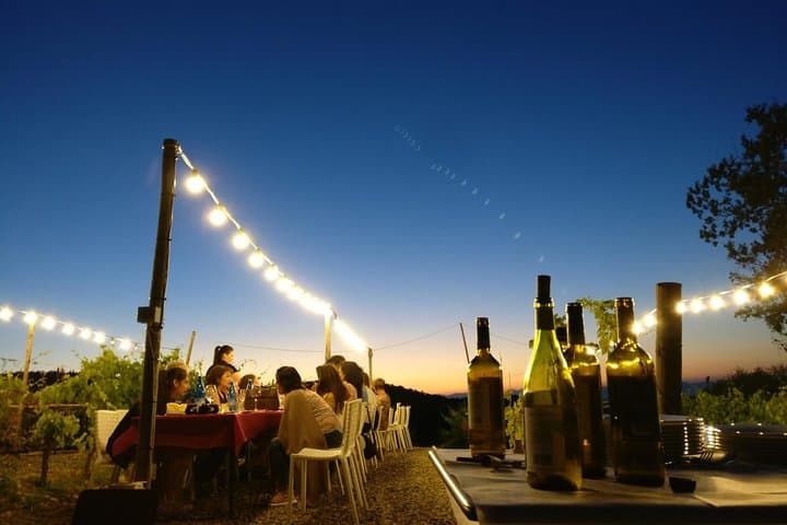 Dinner in the Vineyards from Florence image 4