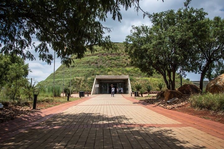 Visite privée du parc des lions du berceau de l'humanité et du village de Lesedi image 4