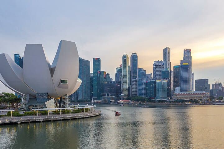 Tour privado de día completo por lo esencial de la ciudad de Singapur imagen 2