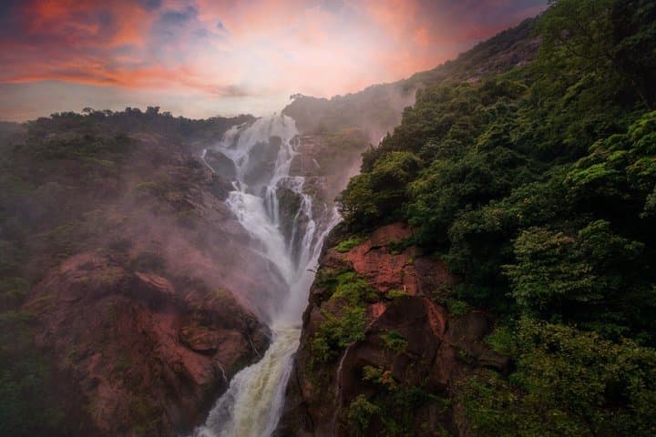 Visite privée des chutes Dudhsagar et de la plantation d'épices image 1
