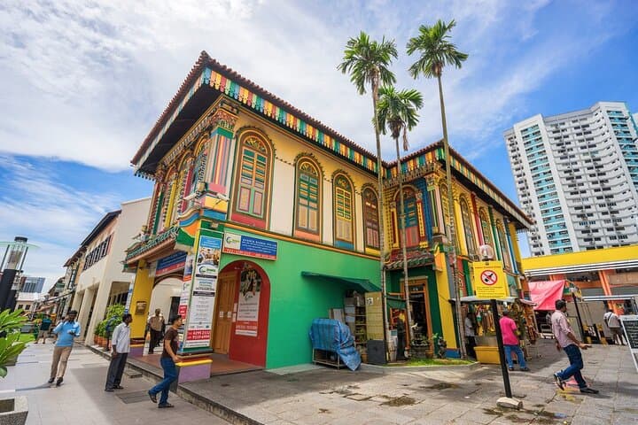 Tour privado de día completo por lo esencial de la ciudad de Singapur imagen 5