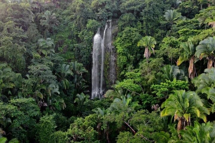 Lo más destacado de Sierra Madre: Tour privado desde Puerto Vallarta imagen 3