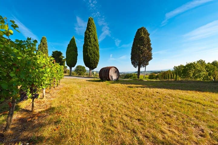 Chianti Delights: Private Tuscany Wine Tour from Florence image 2
