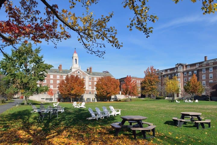 Tour privado de Harvard, MIT y Cambridge desde Boston imagen 6