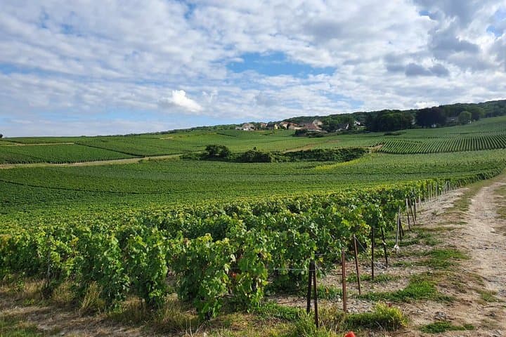 Excursion privée d'une journée de Paris à Reims et en Champagne image 5