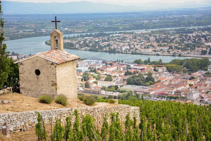 Private Lyon Wine Day Tour in the Northern Rhône Valley