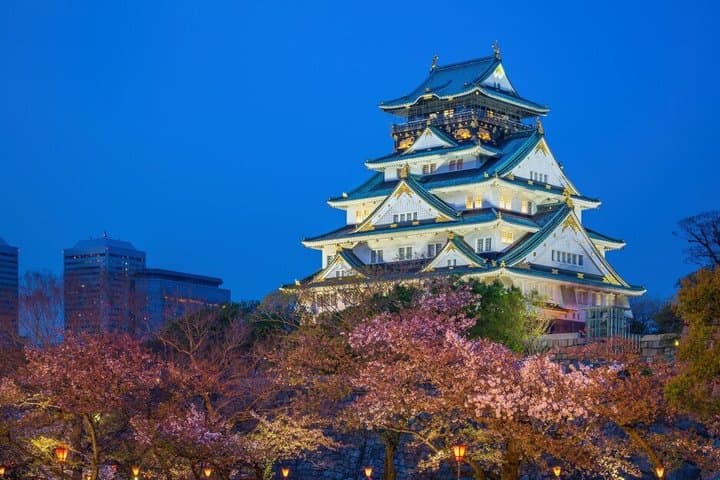 Private Osaka Dotonbori Shinsekai Night Tour and Skyline Views image 4